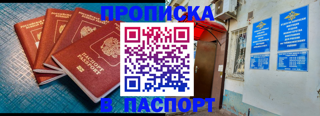 прописка иностранных граждан в Бердске